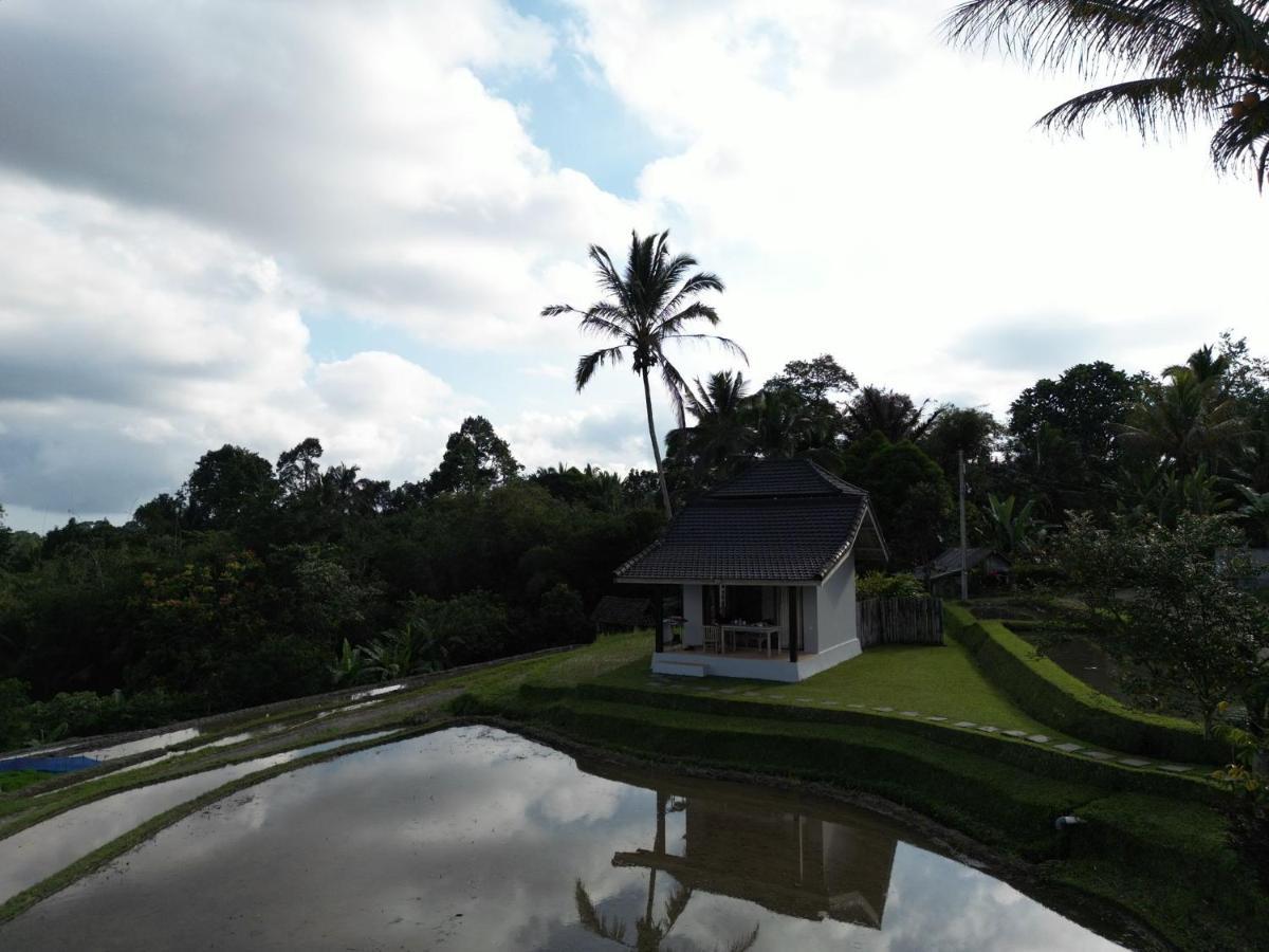 Kubu D'Ume Homestay Jatiluwih Exterior photo